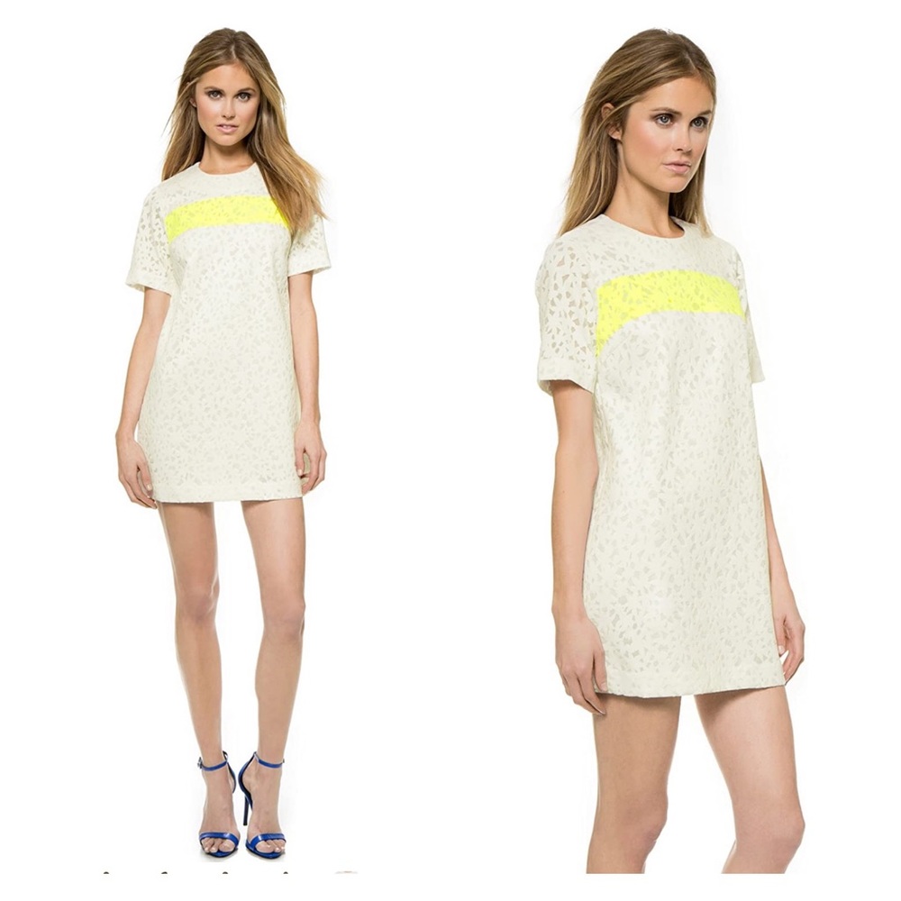 New! ELIZABETH & JAMES Chelle Flocked Shift Dress - Picture 2 of 12